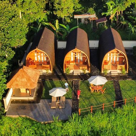 Besakih Homestay & Villa Екстериор снимка